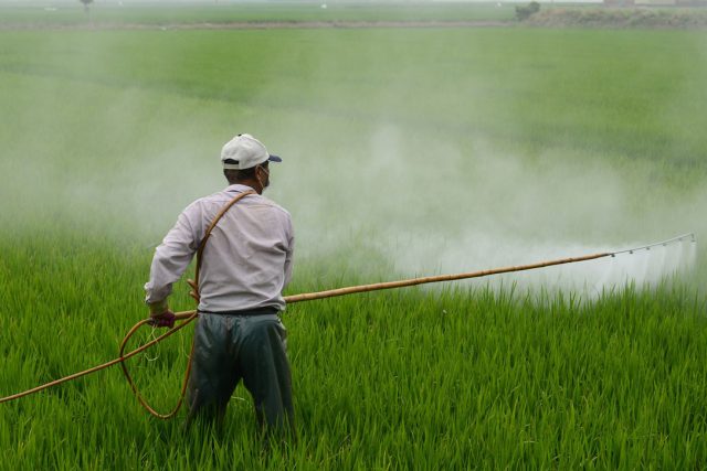 pesticid | foto: CC0 Public domain
