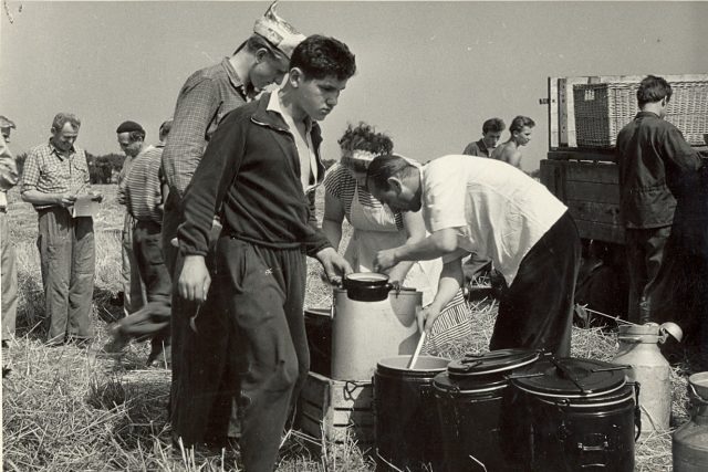 Sklizeň chmele v 60. letech na Lounsku a Žatecku | foto: Státní okresní archiv Louny