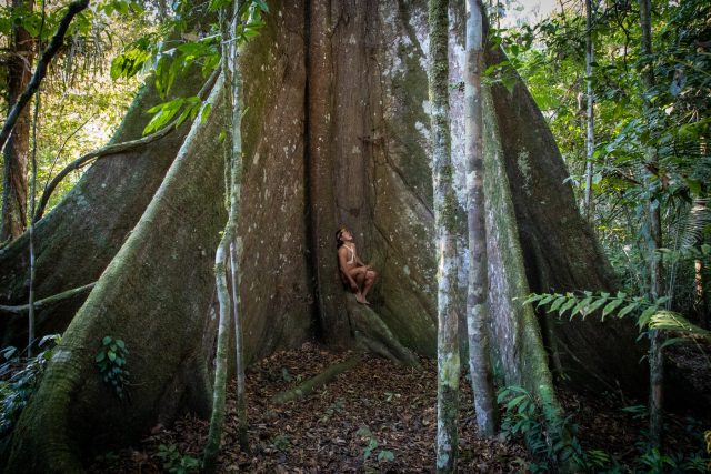 Ochrana amazonských pralesů nestačí | foto: Fotobanka Profimedia