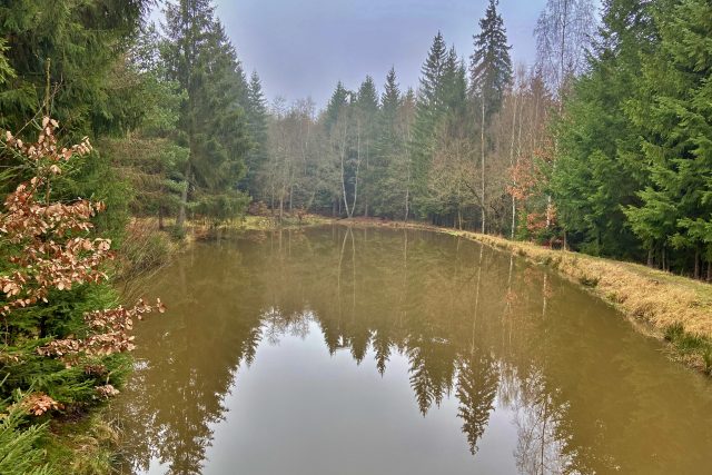 Linhartský rybník poblíž Kojatovy tvrze | foto: Jana Strejčková,  Český rozhlas