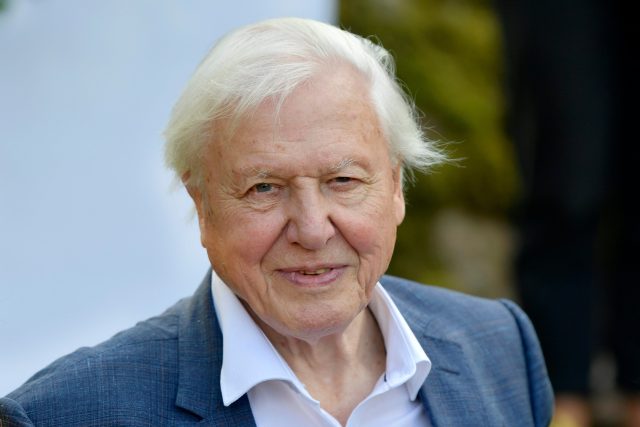 David Attenborough | foto: Profimedia