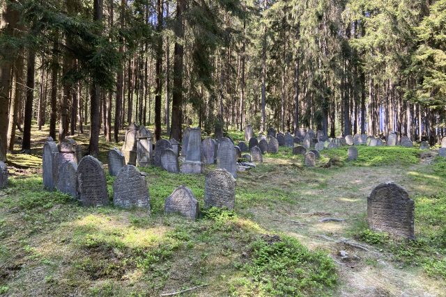 Lesní židovský hřbitov | foto: Jana Strejčková,  Český rozhlas