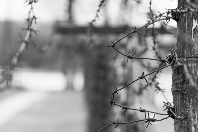 ostnatý drát,  koncentrační tábor,  holokaust | foto: Profimedia