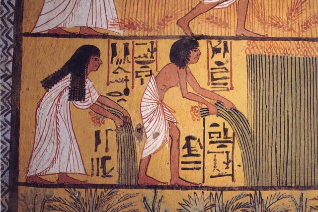 Nálezy vědců také dokládají,  že si řemeslnice své zuby kartáčovala | foto: The Oxford encyclopedia of ancient Egypt,  CC0 1.0