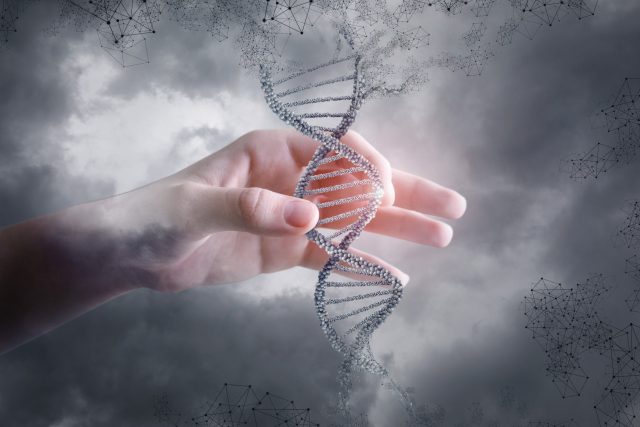 Vědci umí odebrat DNA z ovzduší | foto: Shutterstock