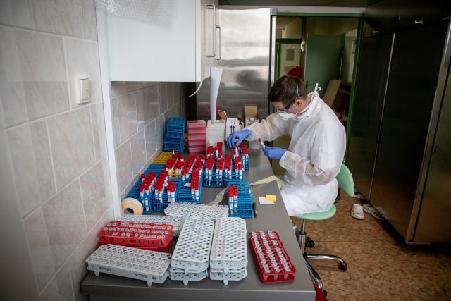 Testování na nemoc covid-19 | foto: Adolf Horsinka,  MAFRA / Profimedia