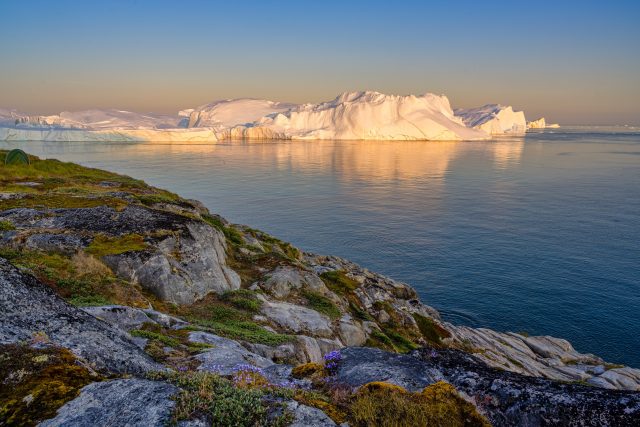 Pravěká rostlina,  kterou vědci našli pod ledem,  ukazuje,  že grónský ledovec taje rychleji,  než se myslelo | foto: Profimedia