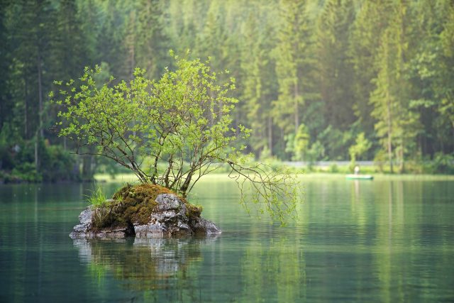 Voda,  řeka,  stromy. les,  ostrůvek,  krajina,  příroda | foto: Fotobanka Pixabay