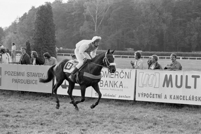 Velká pardubická 1993. Na fotografii vítěz závodu kůň Rigoletto a jeho jezdec Libor Štencl | foto: Michal Růžička,  MAFRA / Profimedia