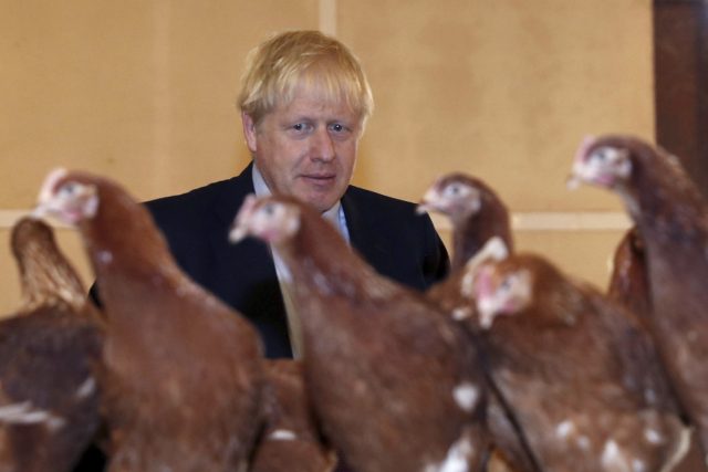 Boris Johnson na návštěvě farmy v jižním Walesu | foto:  Adrian Dennis,  ČTK/AP