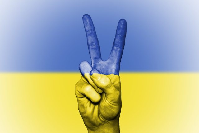 Vůle bojovat za svoji vlast je na Ukrajině obrovská | foto: David Peterson,  Pixabay,  Licence Pixabay
