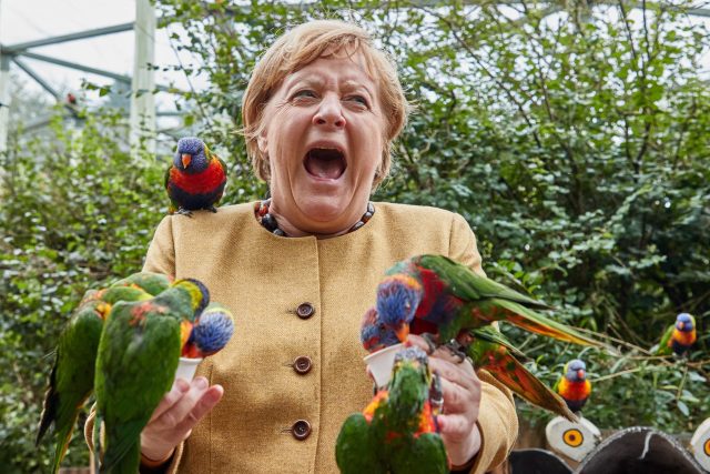 Odcházející kancléřka Angela Merkelová krmí papoušky v ptačím parku Marlow v severním Německu  (23. září 2021) | foto: Georg Wendt,  DPA/Profimedia