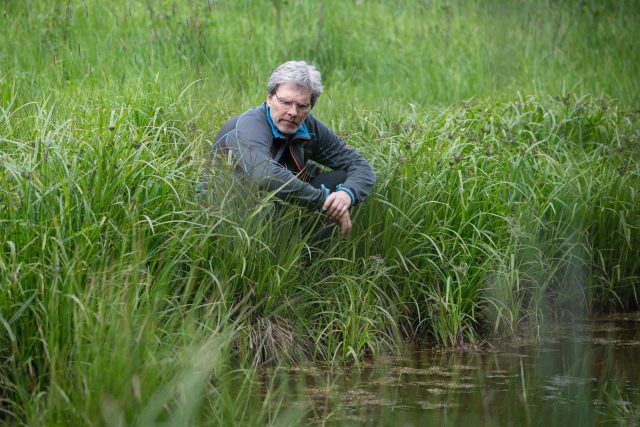 Obnova tůní a mokřadů na Broumovsku,  Jiří Malík | foto: Jiřina Šmídová,  Český rozhlas