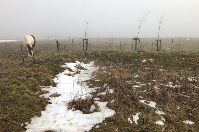 Strouhy zadrží tající sníh nebo dešťovou vodu | foto: Vlasta Gajdošíková,  Český rozhlas,  Český rozhlas