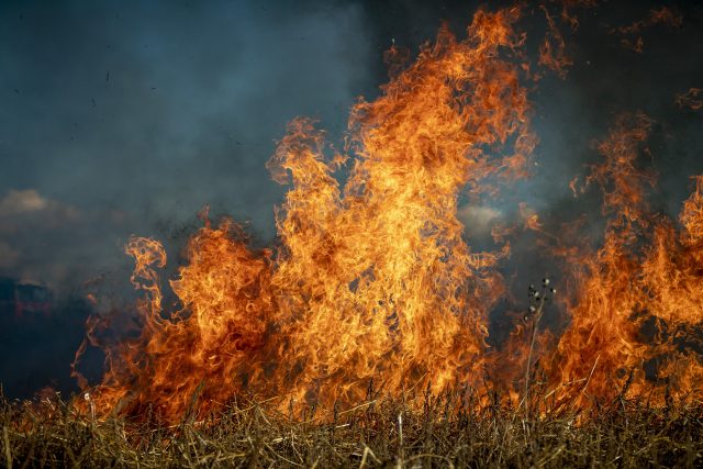 Oheň,  pálení trávy,  požár | foto: Pixabay