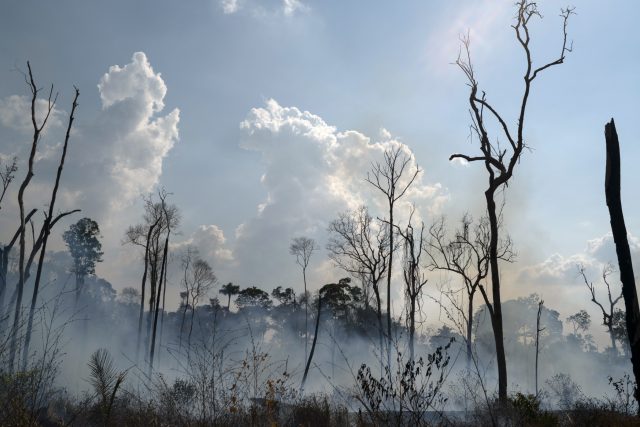 Majitelé pozemků v Amazonii se nesmí ani dotknout osmdesáti procent své půdy a odlesňování je bez patřičného povolení zakázáno i na zbývajících dvaceti procentech | foto: Leo Correa,  ČTK/AP