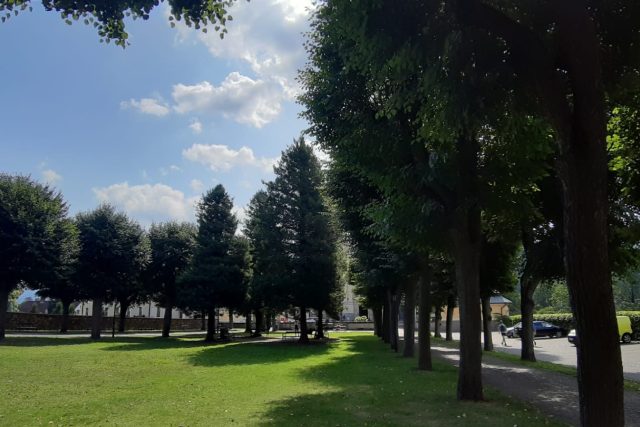 Okrasné stromořadí v parku před hejnickým klášterem musí zmizet | foto: Šárka Škapiková,  Český rozhlas
