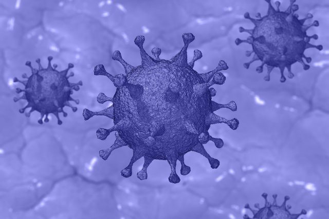 Koronavirus | foto: Pete Linforth,  Pixabay,  CC0 1.0
