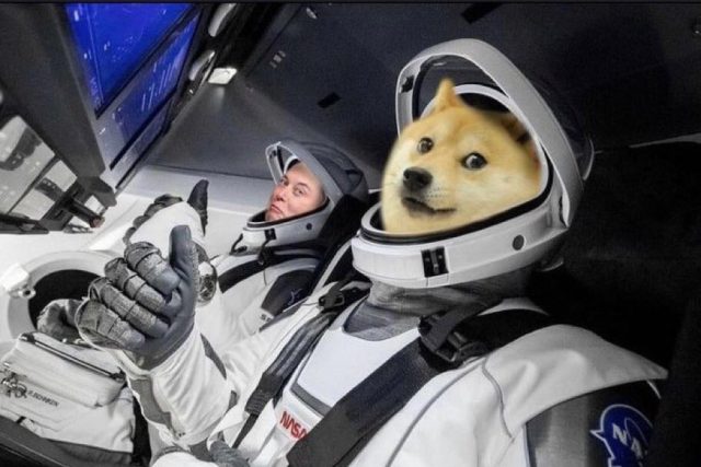 Dogecoin meme | foto: internetový humor/autor neznámý