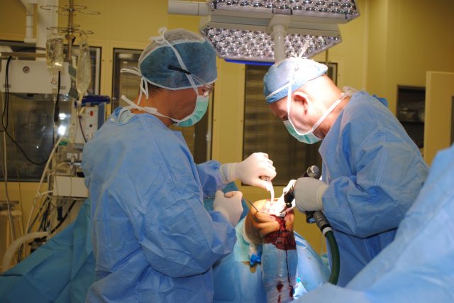 Operace kolenního kloubu  (ilustr. foto) | foto: Gabriela Peringerová,  CNC / Profimedia