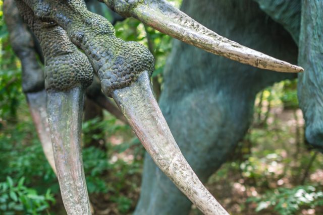 Therizinosaurus scythe claws | foto: Fotobanka Profimedia