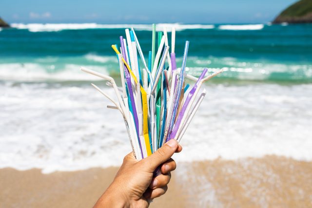Plastová brčka ohrožují přírodu a škodí zvířatům i lidem | foto: Shutterstock