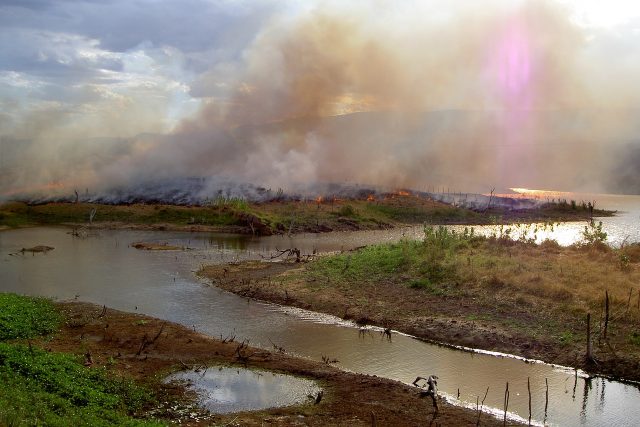 Vypalování pralesů v Amazonii | foto: Alzenir Ferreira de Souza,  Pexels,  CC0 1.0