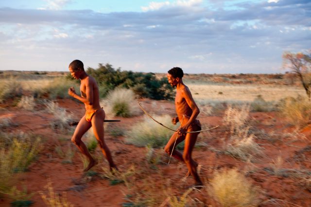 Vědci ze Spojených států způsob lovu,  při kterém se člověk snaží zvíře uštvat dlouhým během,  zkoušeli na domorodých běžcích v poušti Kalahari | foto: Fotobanka Profimedia