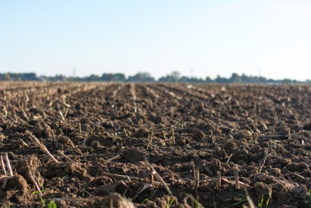 Orná půda – ornice | foto: Jan Kroon,  Pexels,  CC0 1.0
