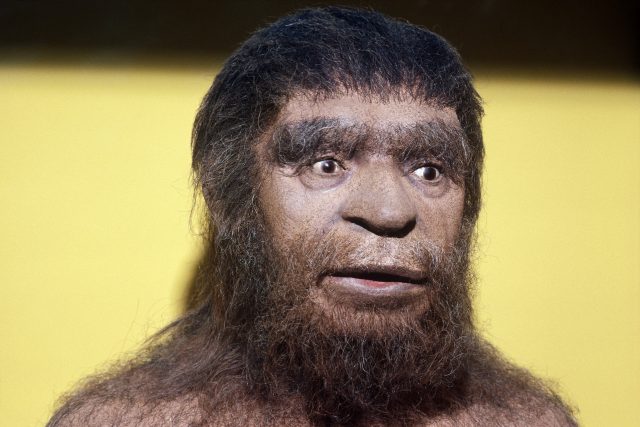 Neandertálec | foto: Fotobanka Profimedia