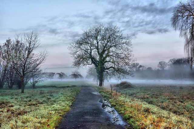 Příroda,  strom,  krajina,  tráva,  nebe,  mlha,  cesta,  venkov  (ilustrační foto) | foto: Fotobanka Pixabay