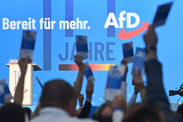 Sjezd Alternativy pro Německo  (AfD) v Magdeburgu | foto: ČTK / DPA