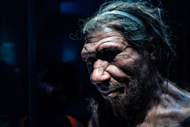 Rekonstrukce vzhledu neandertálce z Přírodovědného muzea v Londýně | foto:  Chettaprin.P,  Shutterstock