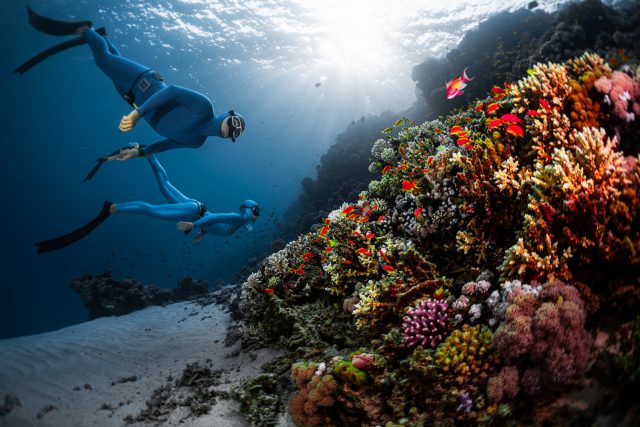 Bez dýchacích přístrojů si potápěč může ponor užít,  aniž by plašil ryby | foto: Shutterstock