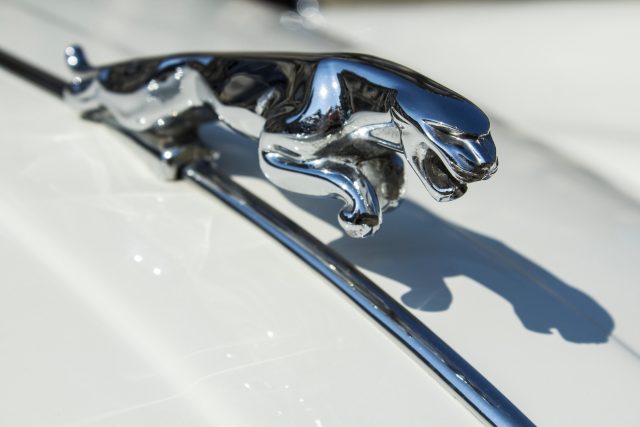 Symbol luxusních automobilů jaguar | foto: Fotobanka Profimedia