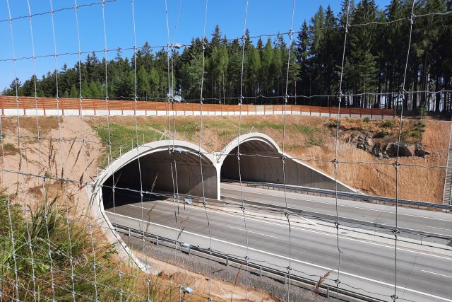Ekodukt nad dálnicí D1 u Humpolce | foto: Patrik Salát,  Český rozhlas