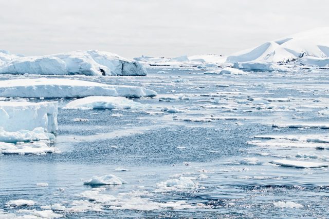 Pod ledem v Antarktidě žije největší kolonie ryb na světě | foto: Pixabay,  Licence Pixabay
