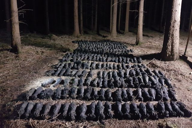 Nedaleko Týnišťka policejní pyrotechnici vyzvedli ze země přes 300 dělostřeleckých min | foto: Policie ČR