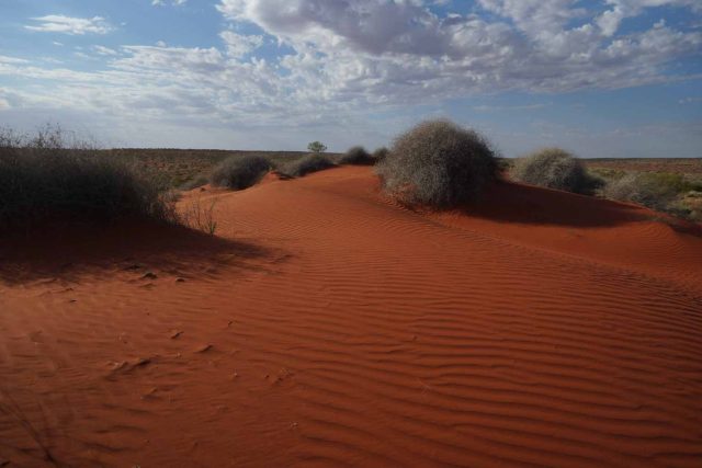 Z cesty Davida Langthalera přes Simpsonovu poušť v centrální Austrálii | foto: David Langthaler