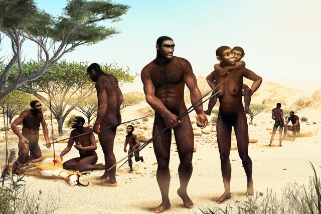 Homo erectus | foto: Profimedia