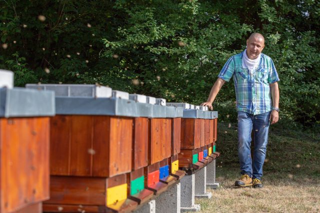 Augustin Uváčik,  odborníka na chov včel a učitel včelařství | foto: Josef Růžička