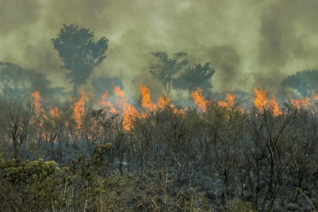 Požár amazonského deštného pralesa | foto: Profimedia