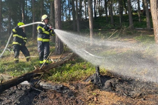 Tři jednotky hasičů likvidovaly požár lesní paseky v Náchodě | foto: HZS Královéhradeckého kraje