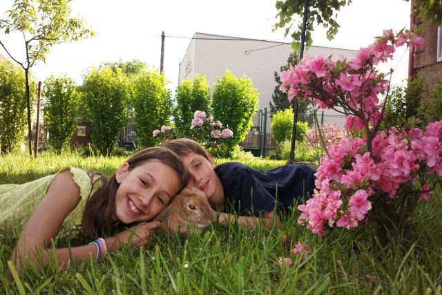 Anička s Vojtou a králíčkem Betynkou na zahradě u tatínka | foto:  tatínek Jenda