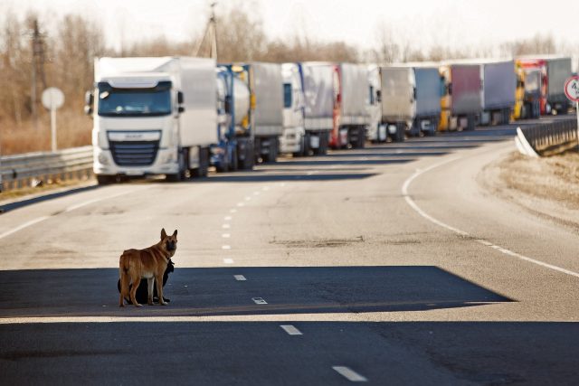 Kamiony čekají na rusko-litevské hranici v důsledku sankcí EU | foto: Fotobanka Profimedia