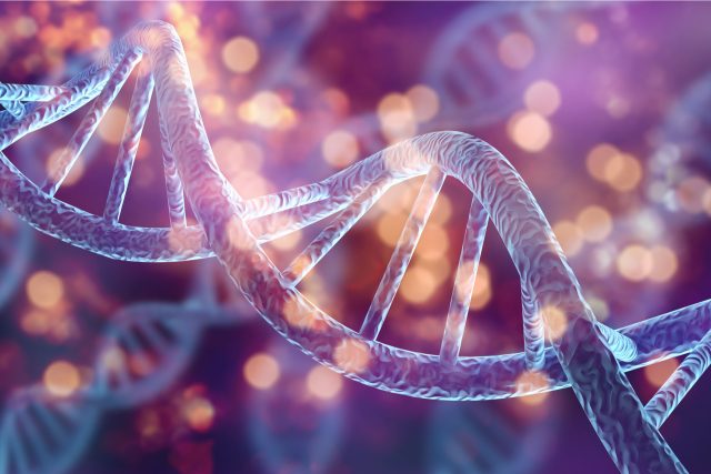 Takhle nějak vypadá lidská DNA,  když bychom ji zvětšili | foto: Shutterstock