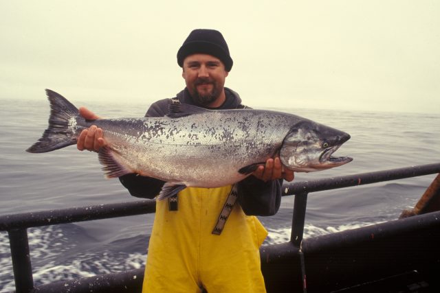 Skotští rybáři ulovili nejméně lososů od roku 1952 | foto: Unsplash,  Licence Unsplash