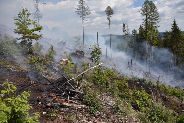 Požár lesa. | foto: HZS Libereckého kraje,  Hasičský záchranný sbor Libereckého kraje
