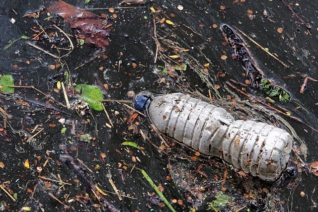 odpad,  znečištění,  mikroplasty,  plasty | foto: Andrew Martin,  Pixabay,  CC0 1.0