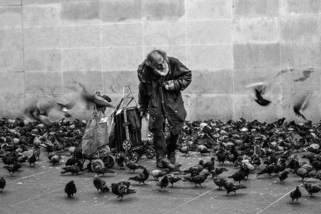 Bezdomovci | foto: Daniel van den Berg,  Fotobanka Unsplash